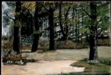 les bois.JPG (8782 octets)