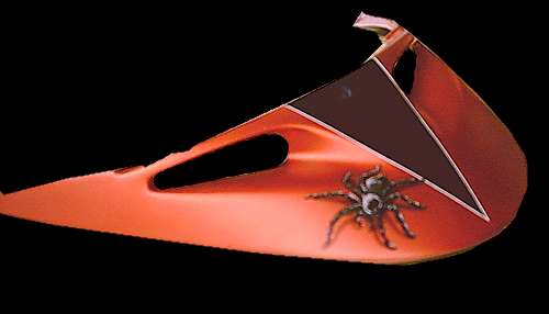 scoot benji. arraign�e noir.jpg (9958 octets)