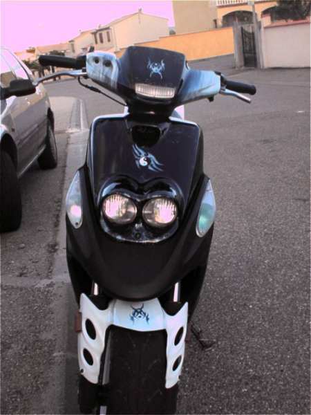 scoot web.jpg (30585 octets)